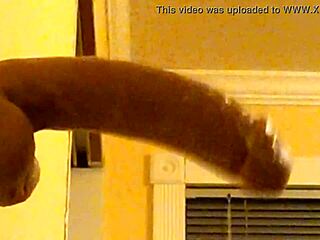 Gay guy in hood deepthroats dildo casually