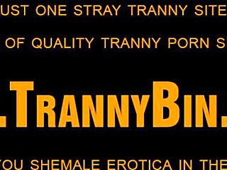 Latin Shemale Teases Herself Solo