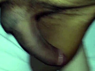 Britney from farmers branch slammed by my hard cock