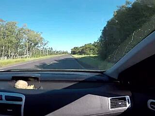 roadside stop for fuck with joy cardozo