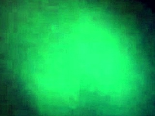 La pandita recibe el año caliente con su juguete favorito