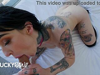 Inked bad girl receives blowjob and fingering. She rides cowgirl with ass slaps