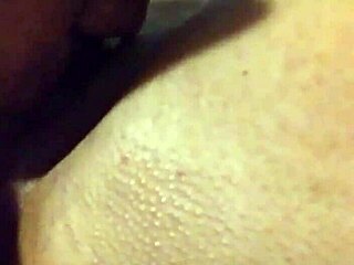 Eating out: Sucking and tasting pussy