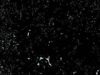 Woman Uses Dildo For Intense Masturbation Session In Bedroom.