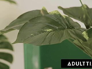 扎齐向同事暴露尿液癖好