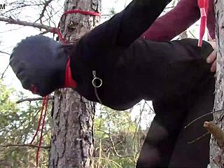 Outdoor BDSM with a bound and gagged girl in sexy attire