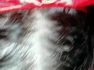 Beautiful dark-haired girl giving a blowjob to her boyfriend