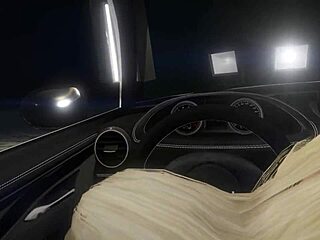 In Gta 5 First Person Hooker Sex In Car