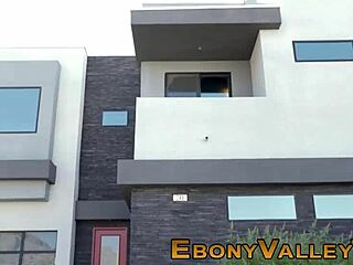 Tongued Black Slut Receives Facial