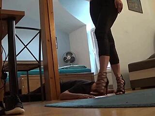i enjoy trampling fun