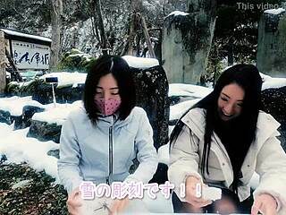 i explore white cat mya and snow sculpture art