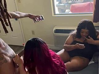 Drippinvelvet and gakworld join forces for a wild family reunion