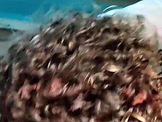 i swallowed that fat latin cock's cumshot, oops