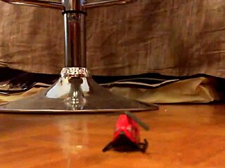 Italian Femdom Mistress In Heels Humiliates With Dirty Feet Crushing Toy Helicopter On Face