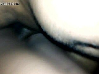 Isa de maputo-maxaquene