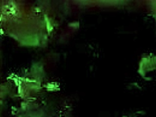 Vintage erotic art collection