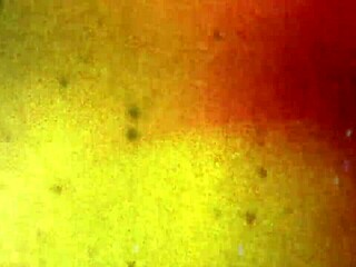 Bob's Tgirls Feature Marcy White's Skinny Body in Anal Play