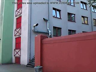 Secret camera captures the action at a German brothel in Cologne