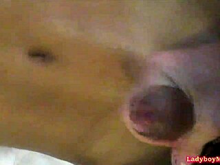 Homemade Porn Features Ladyboy Jazzi In Lingerie Getting Pov Handjob And Bareback Assfucking As Amateur Transsexual