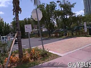 Two men engage in passionate homosexual sex together