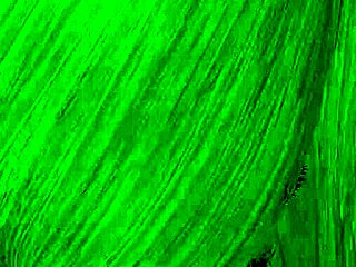 Bentley BJ with Diaper Fetish and Face Fucking Gag