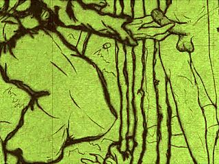 Vintage Erotic Animation