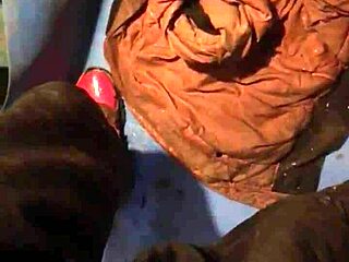 Bomber Part 2 - Outdoor Public Adventure