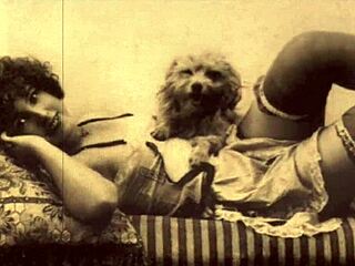 vintage animation with wild retro animal action, ya know?