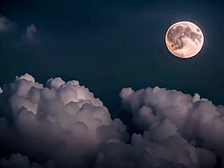 Nerdy girl possessed by demon fucks interracial bitches with huge cocks.