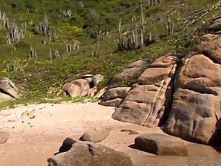 A slut gets drilled in an outdoor orgy on the beach