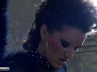 莱克斯斯蒂尔舔湿逼