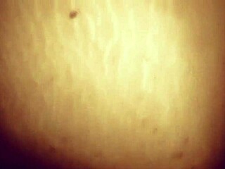 Morena Fucked Doggystyle With Dildo In Ass!