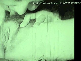 Lingerie Models On The Farm Showcase