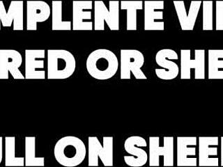 少女在红色上自慰毛腋窝和大屁股