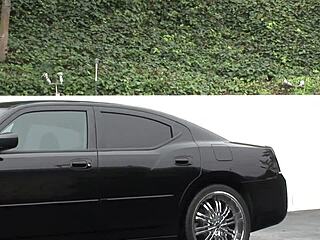 年轻美女艾莉森·莱恩内射高潮