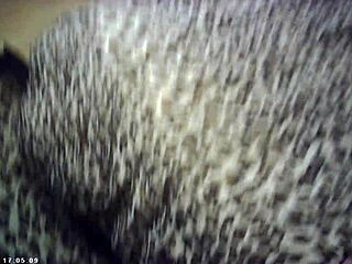 slim model meets the italian pound machine and they have sex