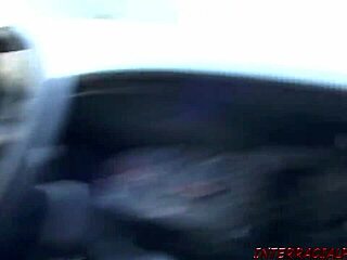 Sassy Savannah Stern Steps Into Great Black Unknown