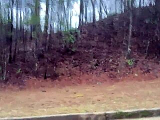 Clitlicker662 update 32 image 1340