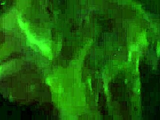 Can She Handle Cum On Face In Public Sushi Bar?