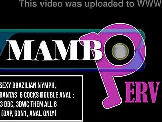 I'm Obsessed with Bianca Dantas Taking 6 Cocks in Double Anal!