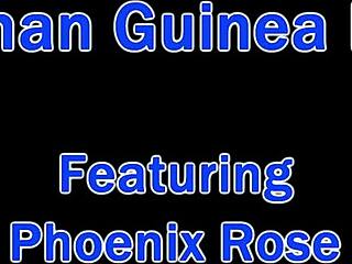 dr tampa - human guinea pigs - phoenix rose