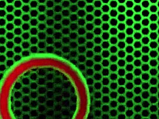 wanna watch inked stallion bang marvelous blonde natalia starr on couch?