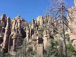 She Sucks & Swallows On Public Hiking Trail