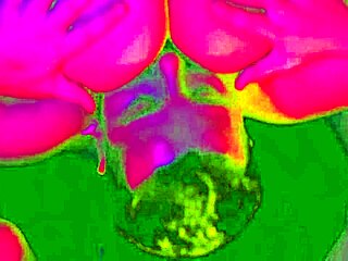 bbw girlfriend enjoys rough foot sex with natural tits and fat ass