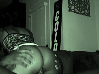 Can This Amateur Couple Ride to Creamy Cream Pie?