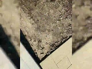 using my toy outside the neighbor's house