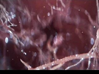 约瑟芬杰克逊逼水直流自慰湿透