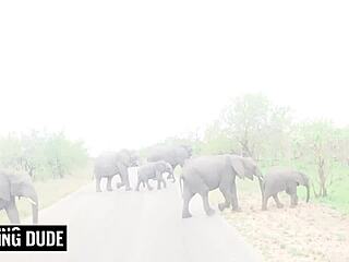 Ebony Babe Fingers Pussy And Gives BWC Blowjob!