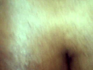 subtle trade of black shemale ass fucking in tampa