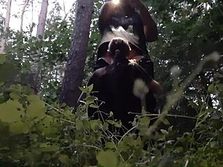 I fuck my stepsister deep in the mouth outdoors in the forest passionately